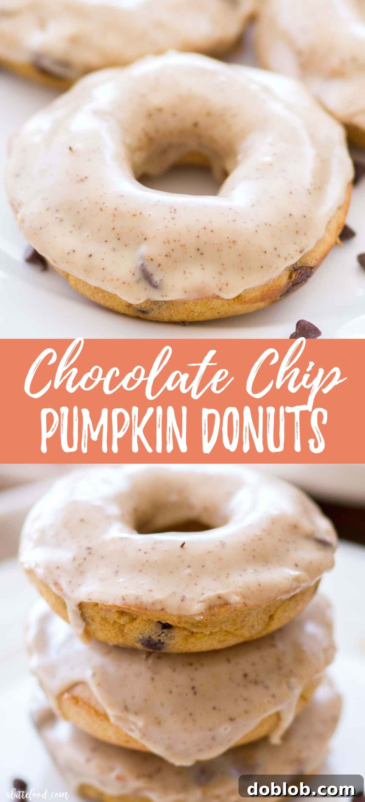 Spiced Pumpkin Chocolate Chip Donuts 9 Chocolate Chip Pumpkin Donuts Recipe: Delicious homemade baked donuts
